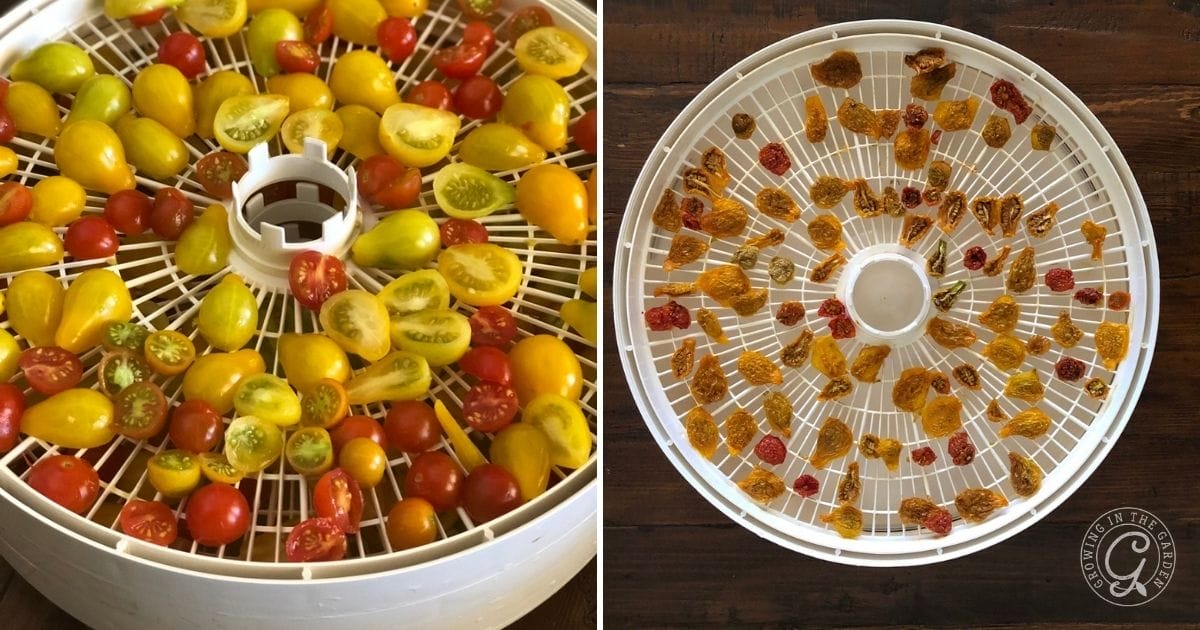 Dehydrator