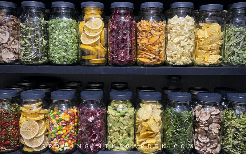 A guide to freeze dried food: 4 easy methods to preserve your