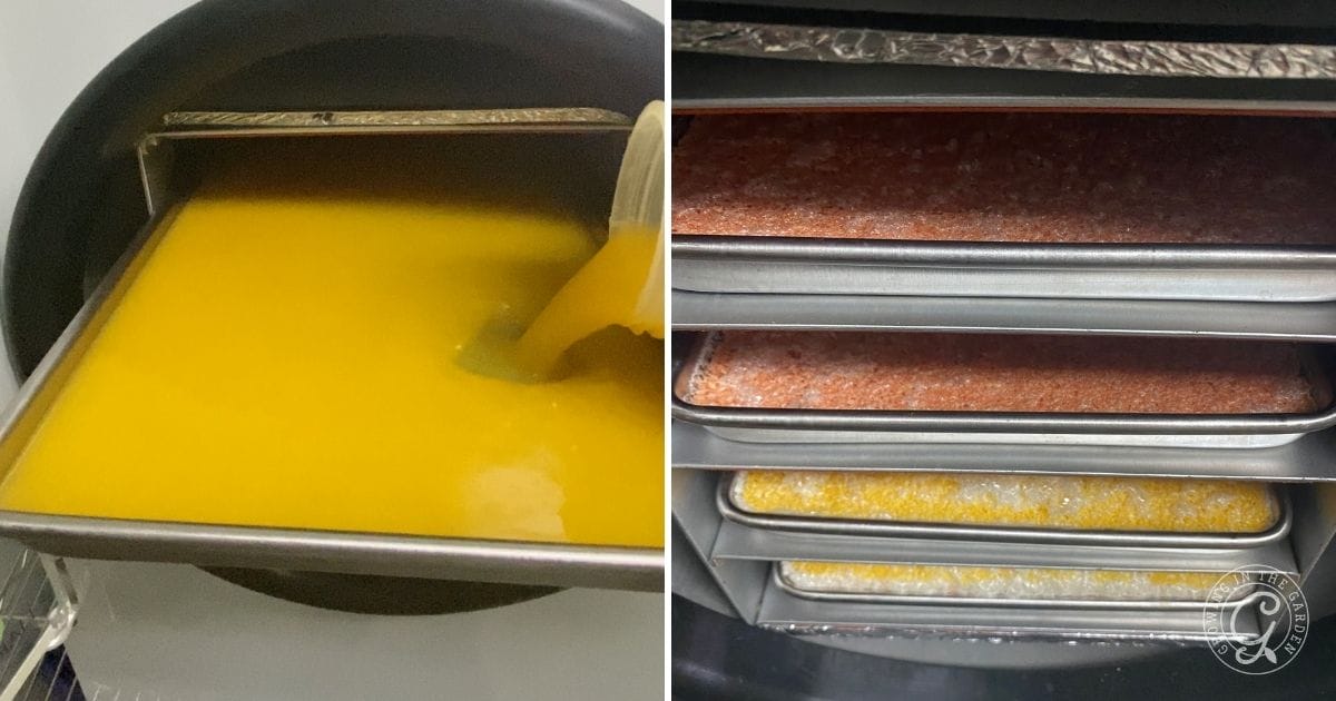 Freeze drying orange juice