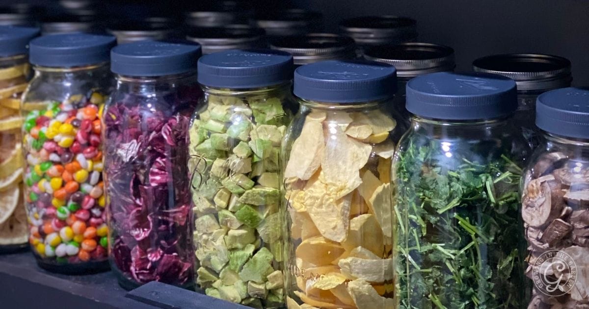 How to Freeze Dry_ Tips for Beginners and FAQ