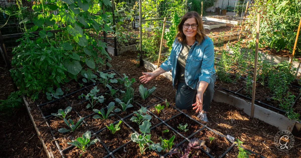 A woman smiles while tending to young vegetable plants in a lush, organized garden bed.