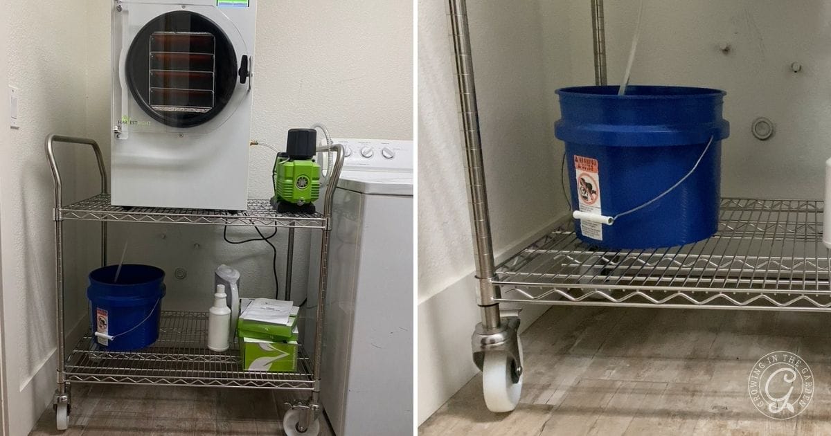 Selecting the Right Cart for Your Freeze-Dryer