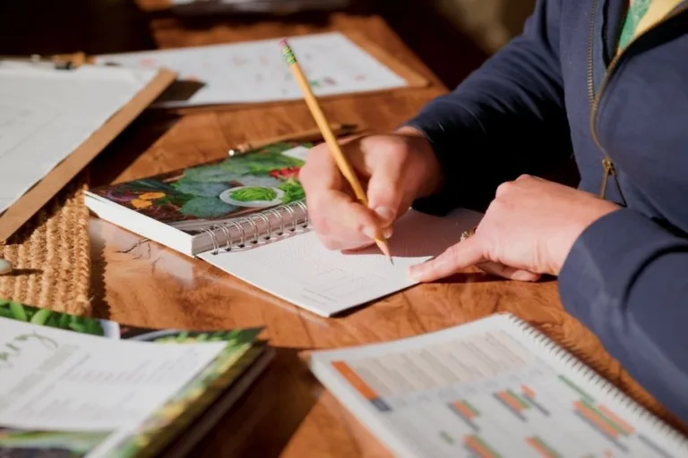 Garden Planning: How to Plan Your Garden featured image