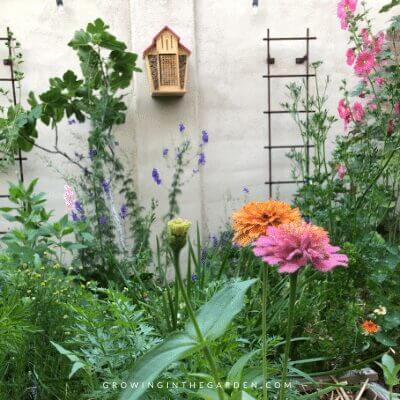 insect hotel in garden with flowers