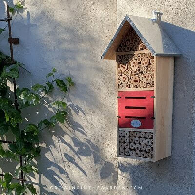 insect hotel in morning sun