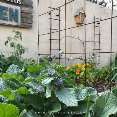 how to use insect hotels