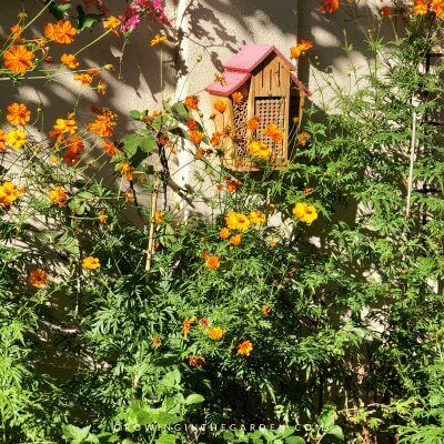 insect hotel in spring