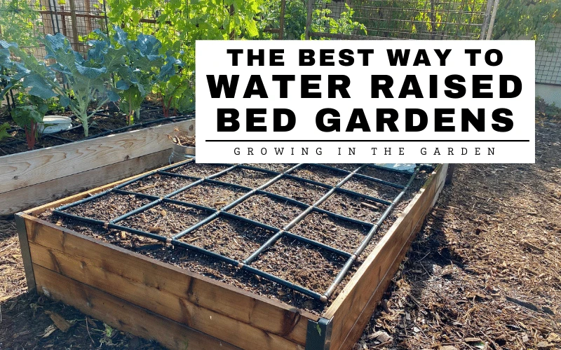 The 10 Best Raised Garden Beds of 2024