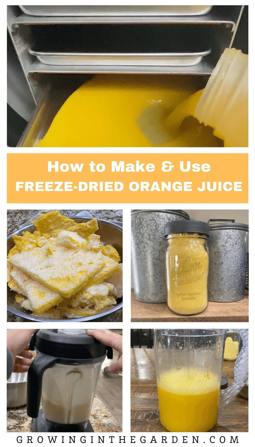 How to Make & Use Freeze-Dried Orange Juice - Growing In The Garden