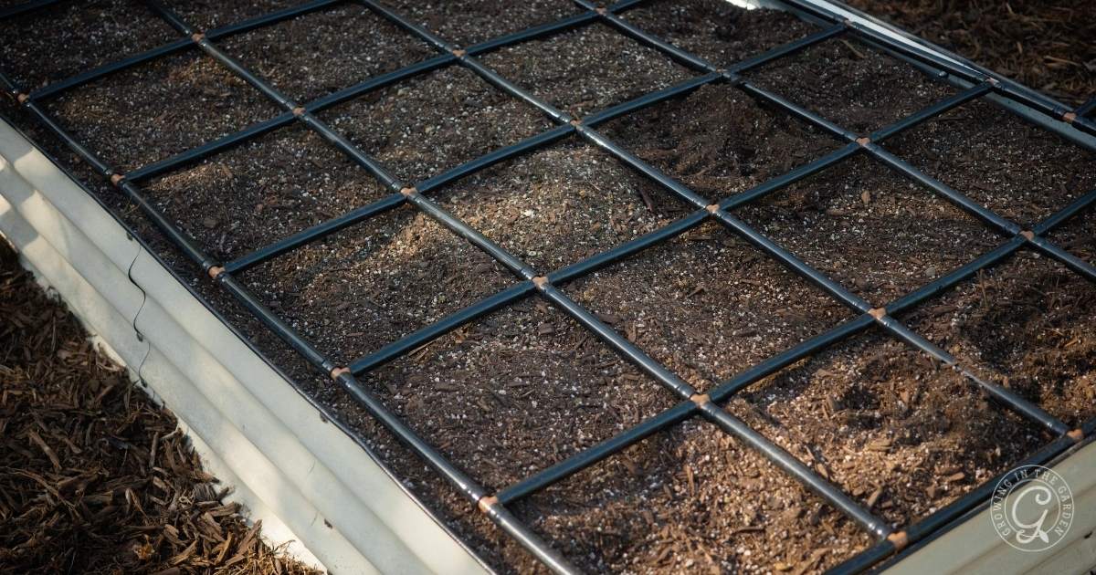 The Best Way to Water Raised Bed Gardens