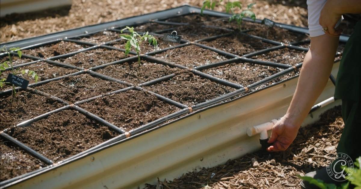 The Best Way to Water Raised Bed Gardens