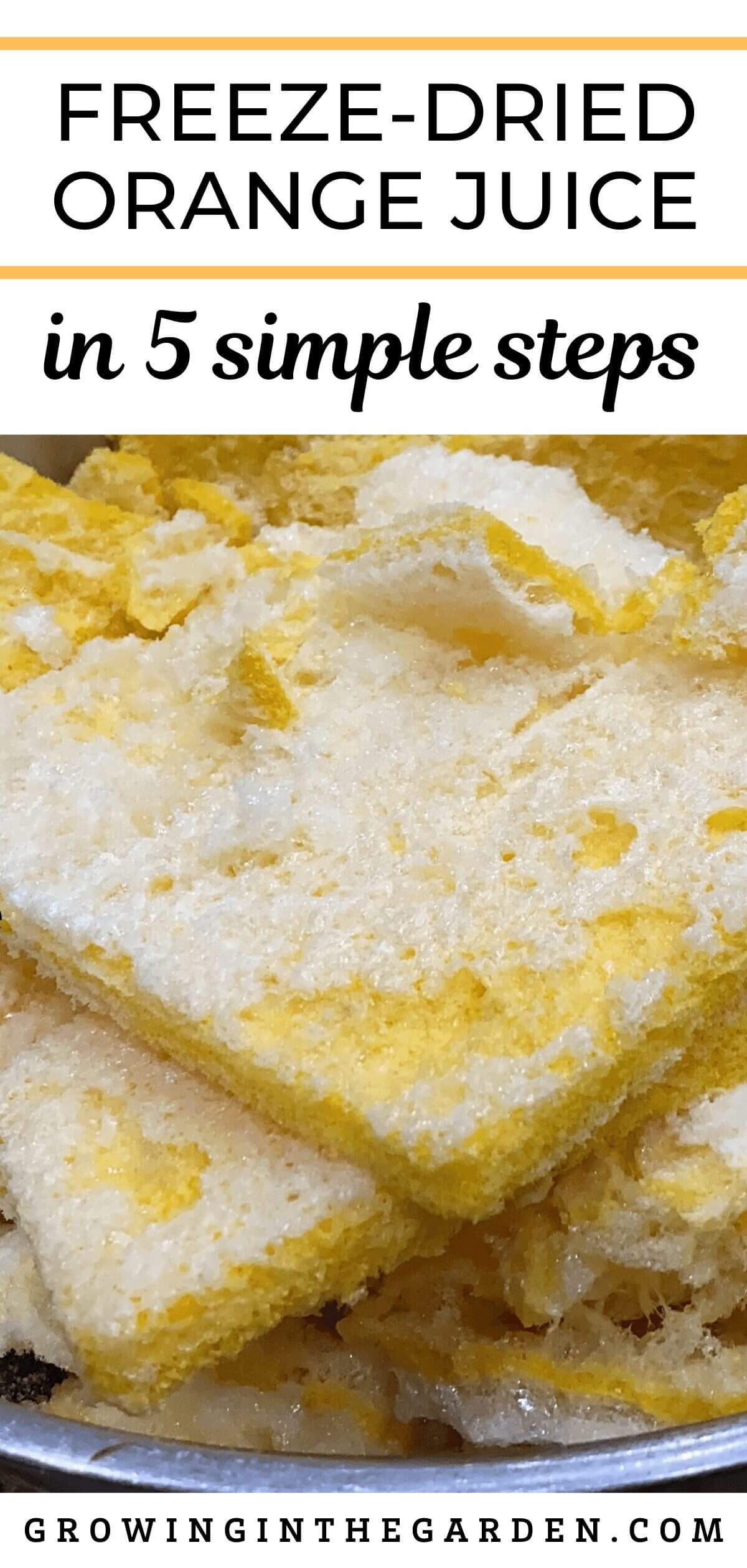 How to Make & Use Freeze-Dried Orange Juice - Growing In The Garden