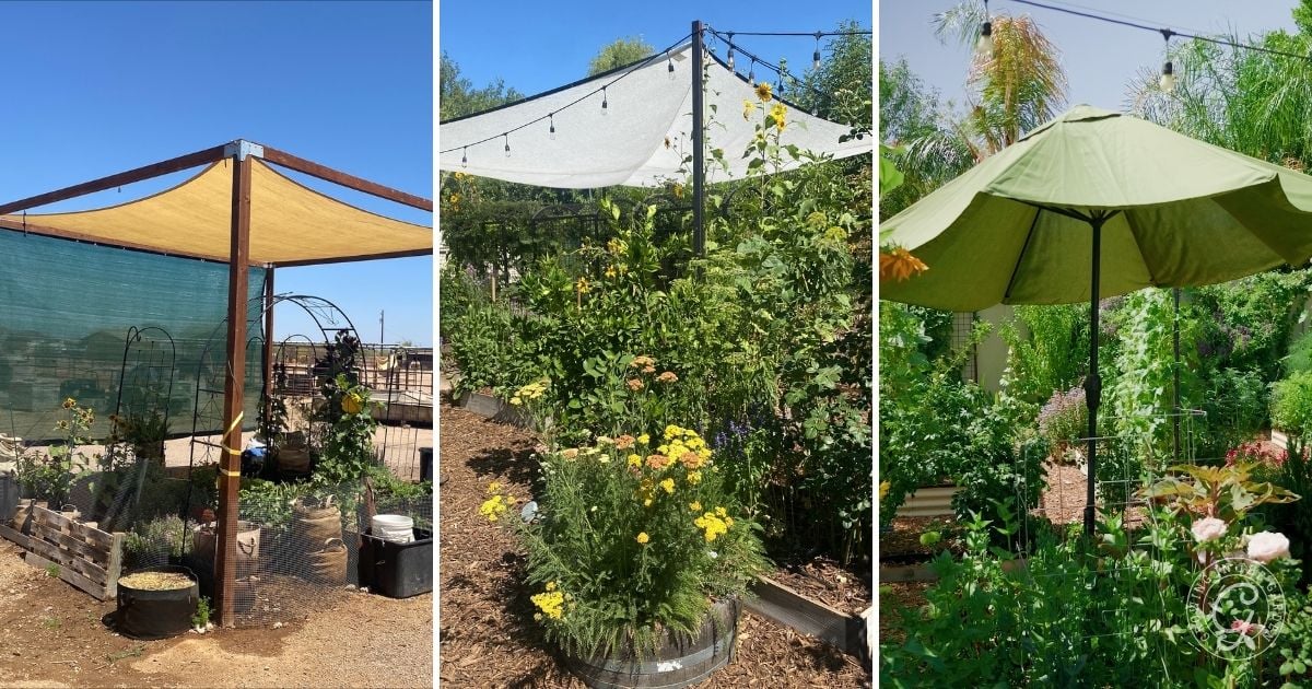 Three garden shade structures&mdash;ideal for a hot climate summer garden&mdash;include a shade sail, fabric canopy, and green patio umbrella over lush plants.