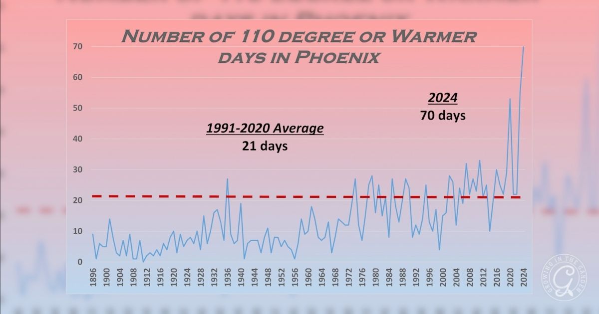 Graph showing a sharp rise in Phoenix 110&deg;F+ days, peaking at 70 days in 2024; average is 21 days&mdash;a striking trend highlighting the challenges of maintaining a summer garden in this hot climate.