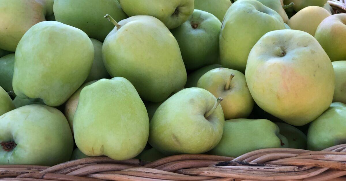 Best Recipes for Anna Apples - Growing In The Garden