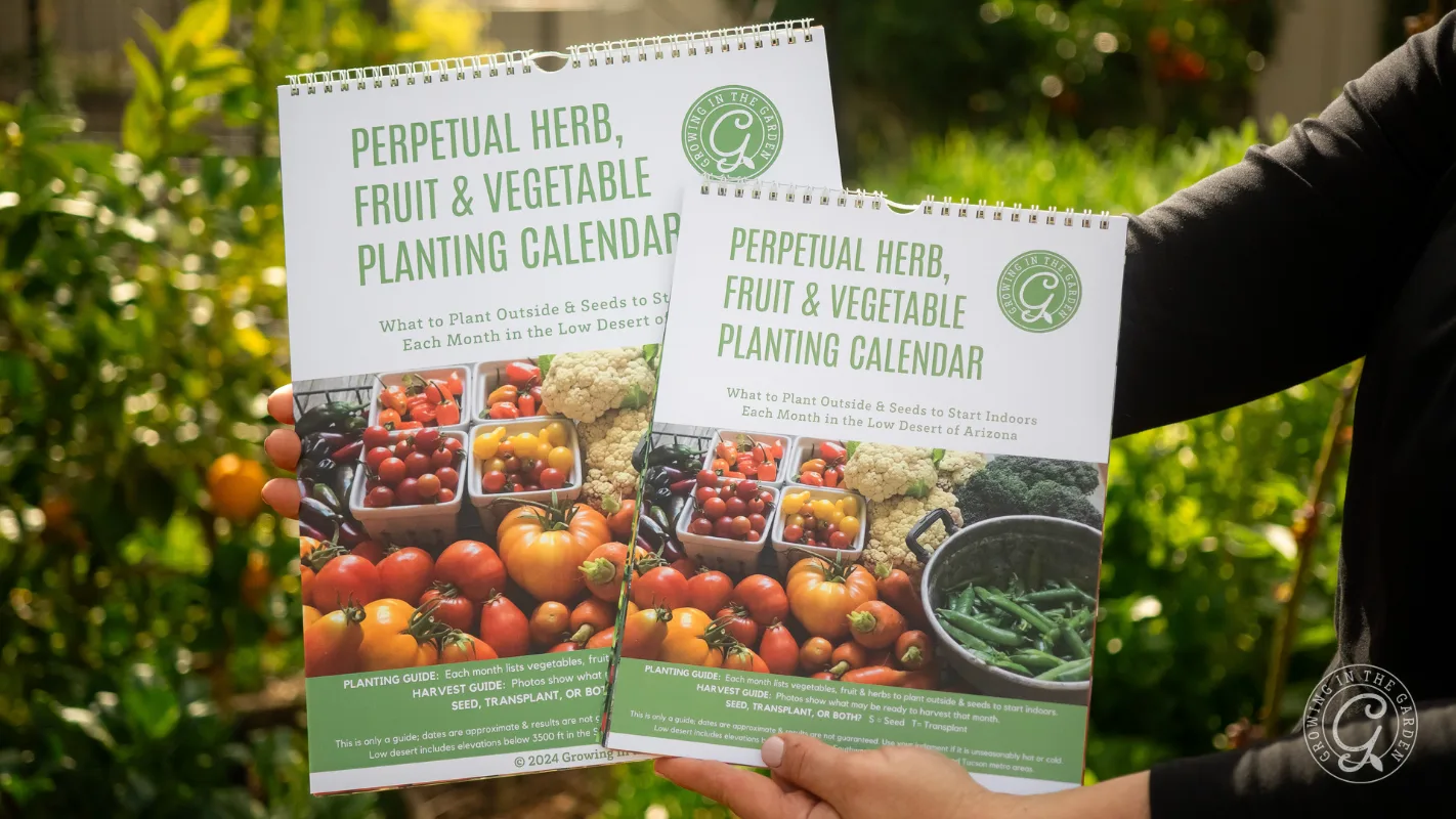 Two hands hold up gardening calendars featuring images of fresh tomatoes, beans, and cucumbers outdoors.