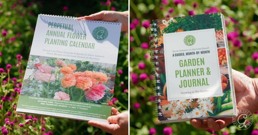 Two hands hold colorful gardening books with flower covers, perfect for finding quick and easy garden flower arrangements, against a backdrop of blooming pink flowers.