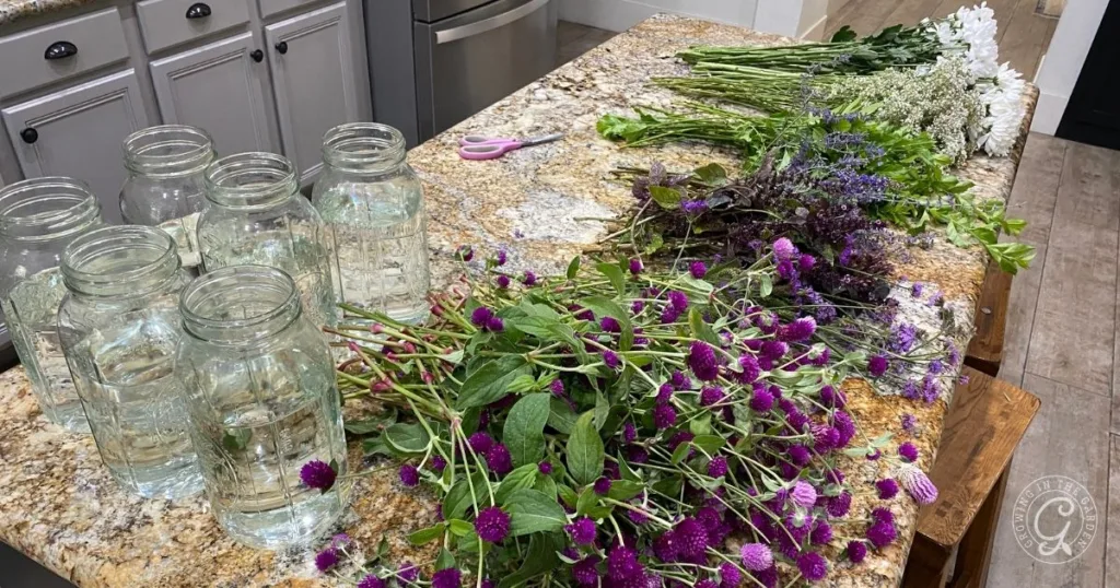 Mason jars with water and assorted cut flowers laid out on a kitchen counter, perfect for creating quick and easy garden flower arrangements.