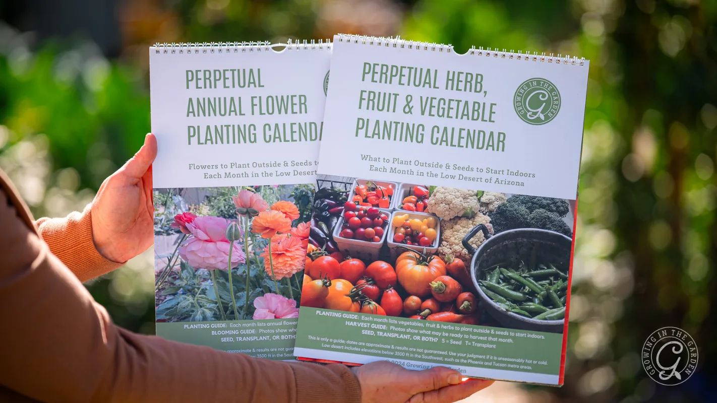 Person holding two gardening calendars: one for flowers, the other for herbs, fruit, and vegetables.