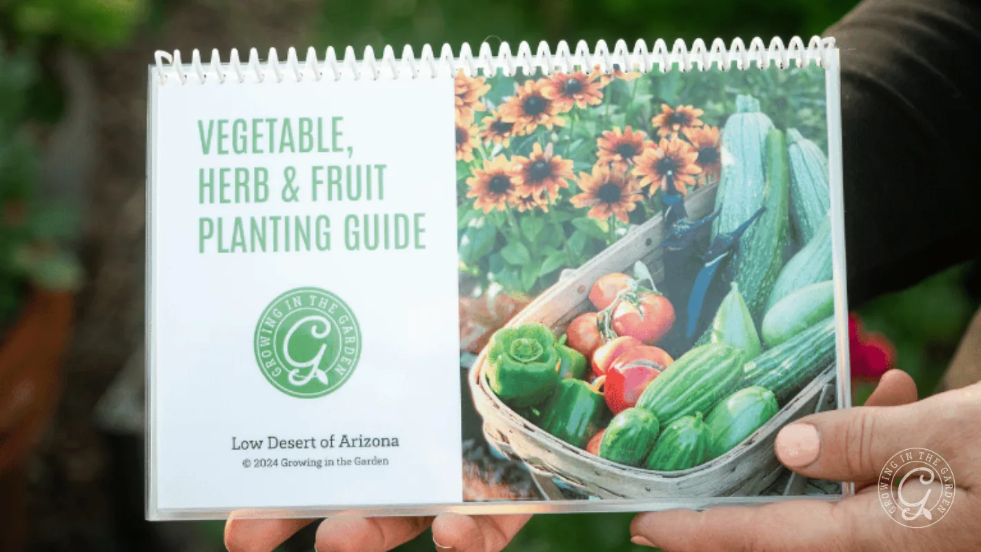 Close-up of a planting guide booklet with vegetables and flowers on the cover, held outdoors by two hands.
