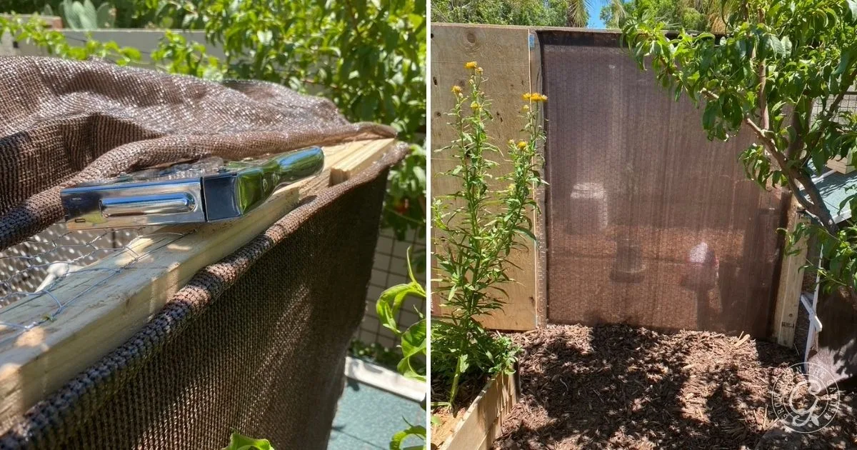 Close-up of mesh fabric stapled to wood; next to it, a shaded garden area with plants and sunlight&mdash;ideal features to help keep chickens cool in hot summers.
