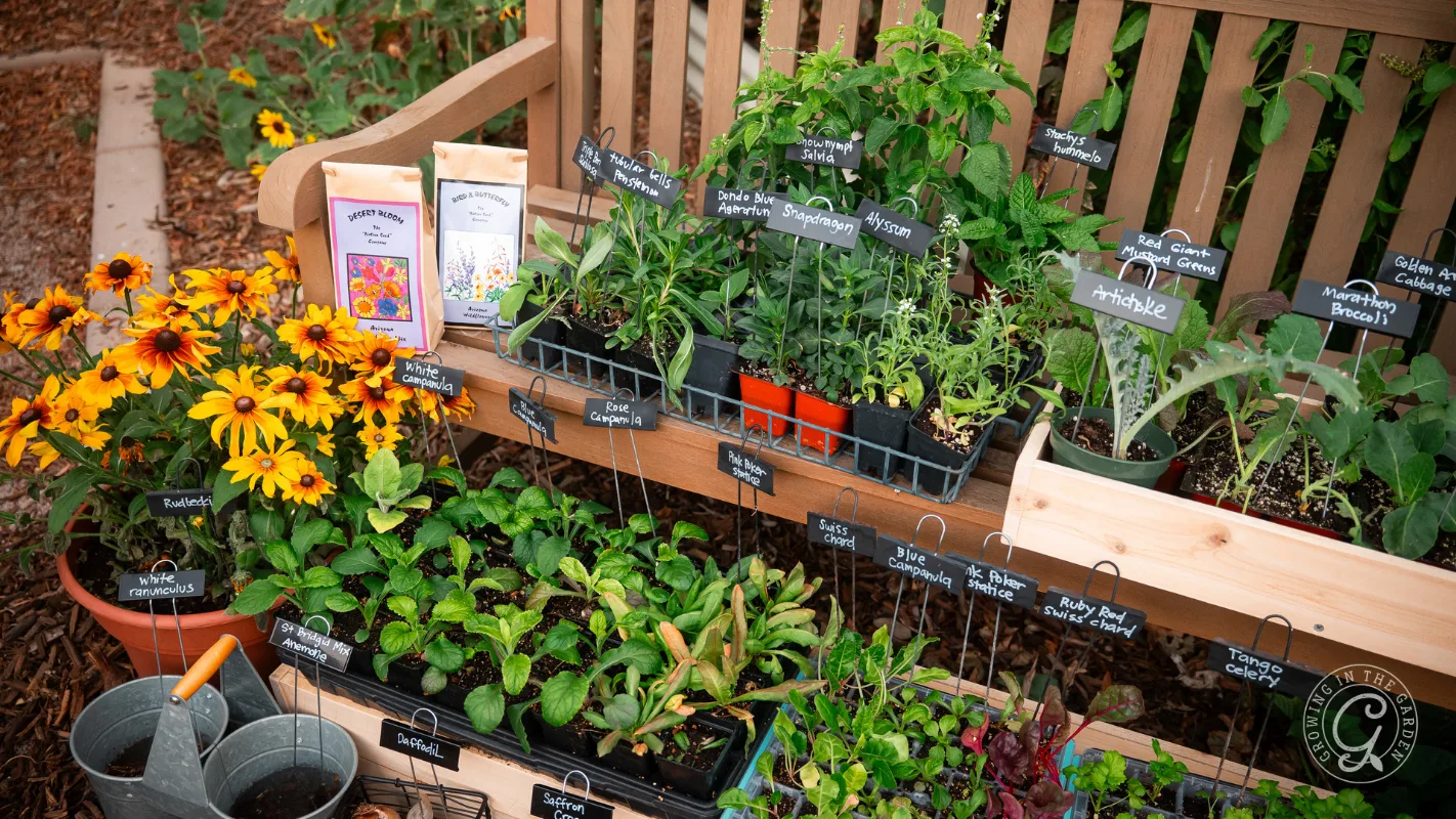 A wooden bench displays labeled herb and vegetable seedlings, flowers, seed packets, and watering cans.
