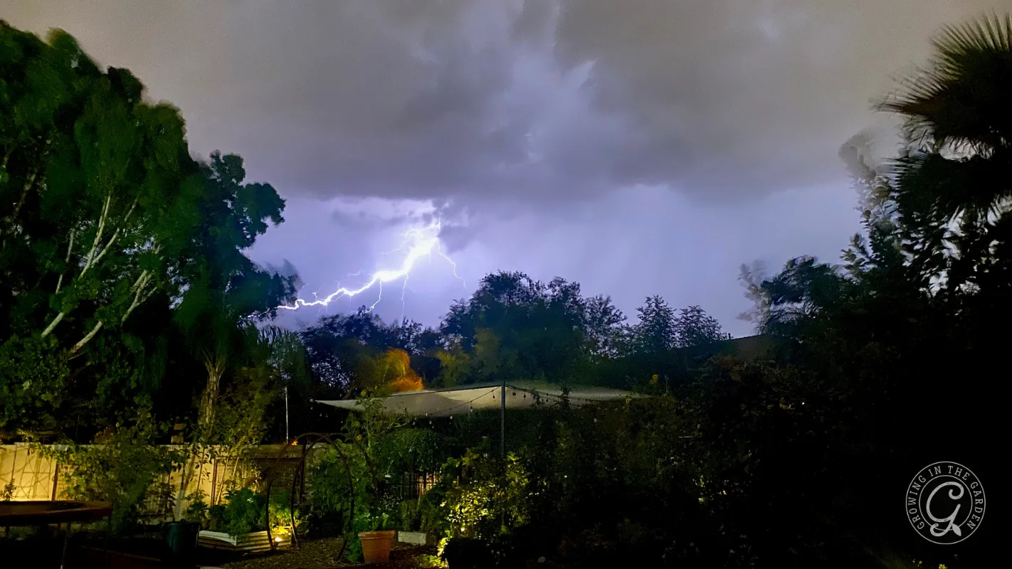 Lightning strikes behind trees in a backyard at night, illuminating the dark, cloudy sky.