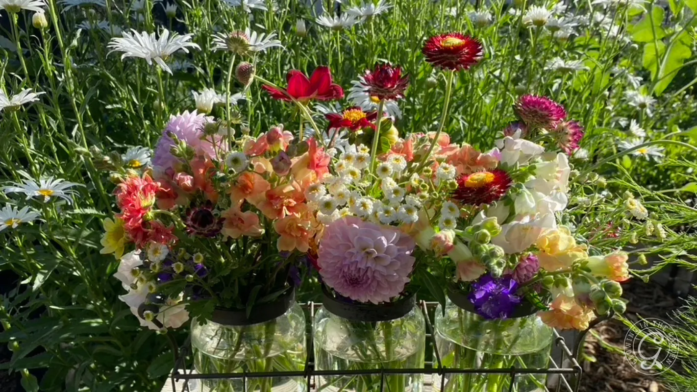 Colorful flowers, including daisies and dahlias, arranged in glass jars on a wire rack in a garden setting.