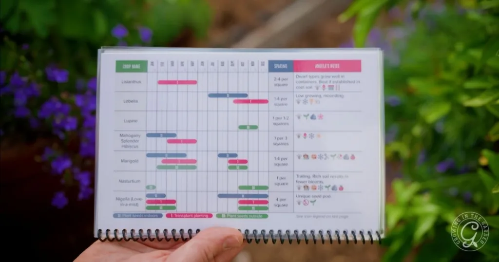 Hand holding a spiral-bound planting guide with colorful charts detailing various flower planting schedules, including tips on how to grow lobelia.