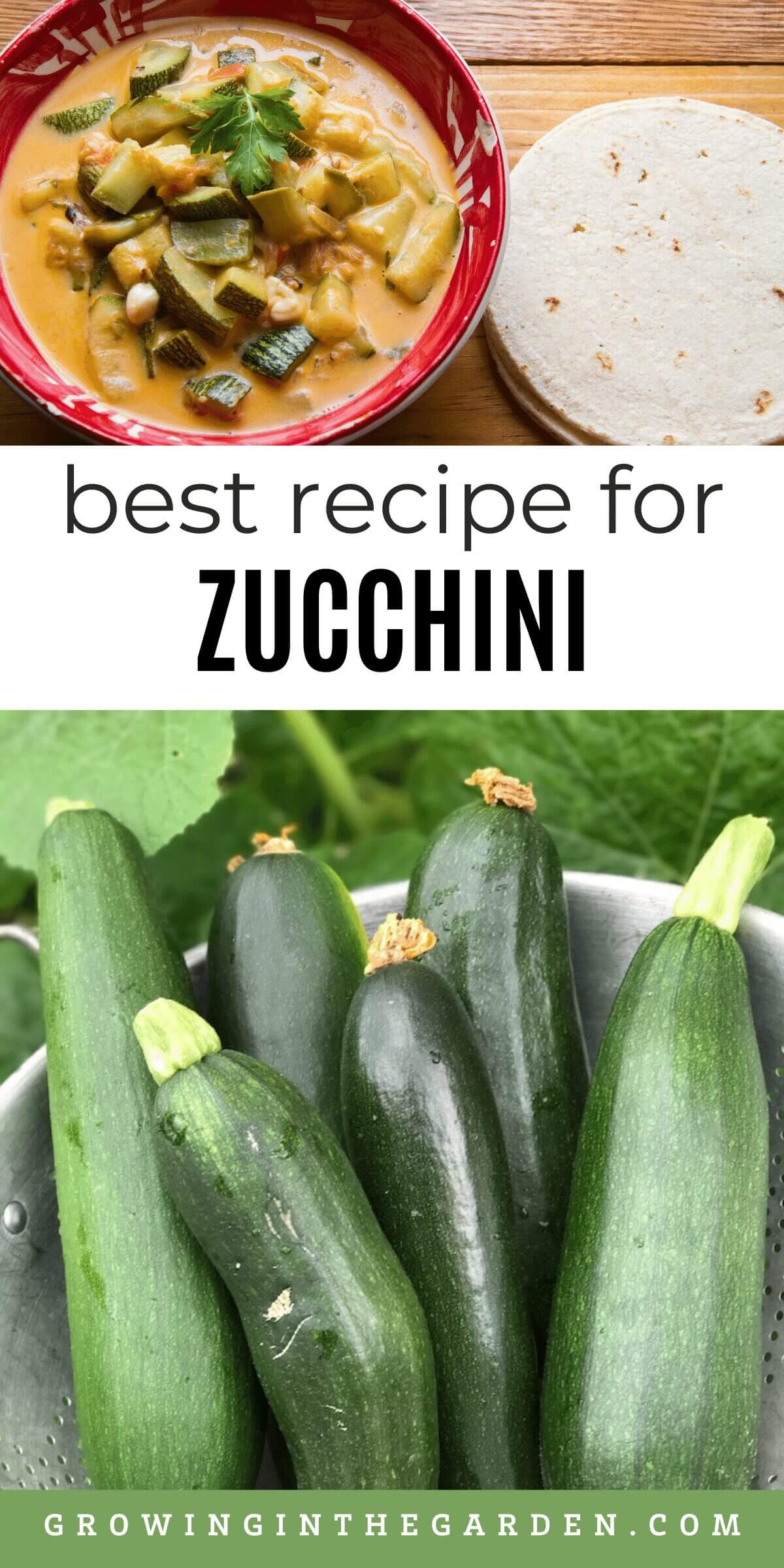Best recipe for zucchini - Carla's calabacitas.