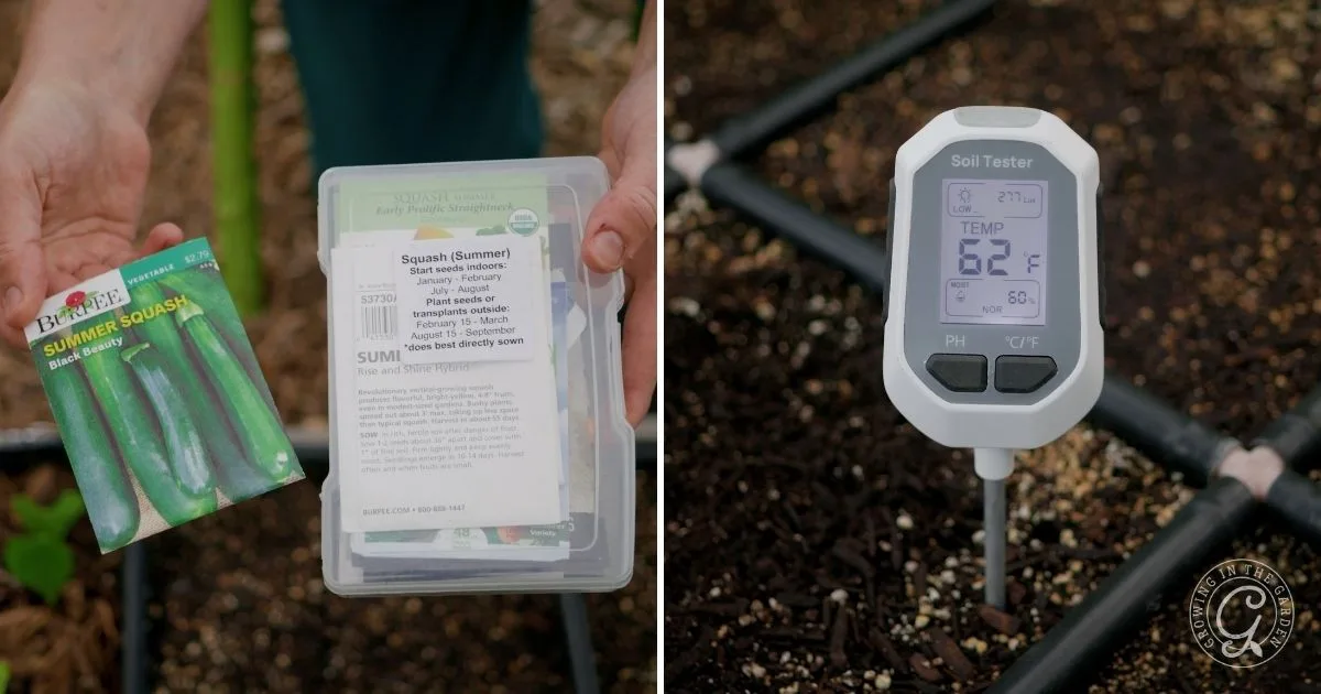 Left: Hand holding squash seeds; right: soil thermometer shows 62&deg;F in garden soil with drip irrigation&mdash;key details when learning how to grow summer squash.