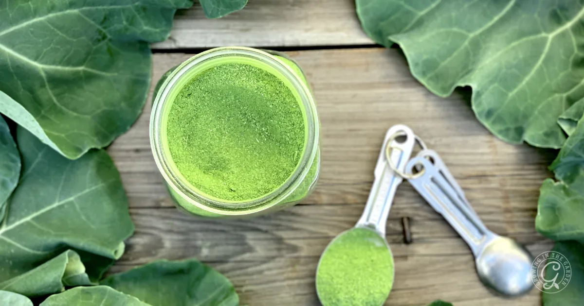 A jar of green powder with measuring spoons and leafy greens on a wooden surface, perfect for learning how to use broccoli and cauliflower leaves in your daily recipes.
