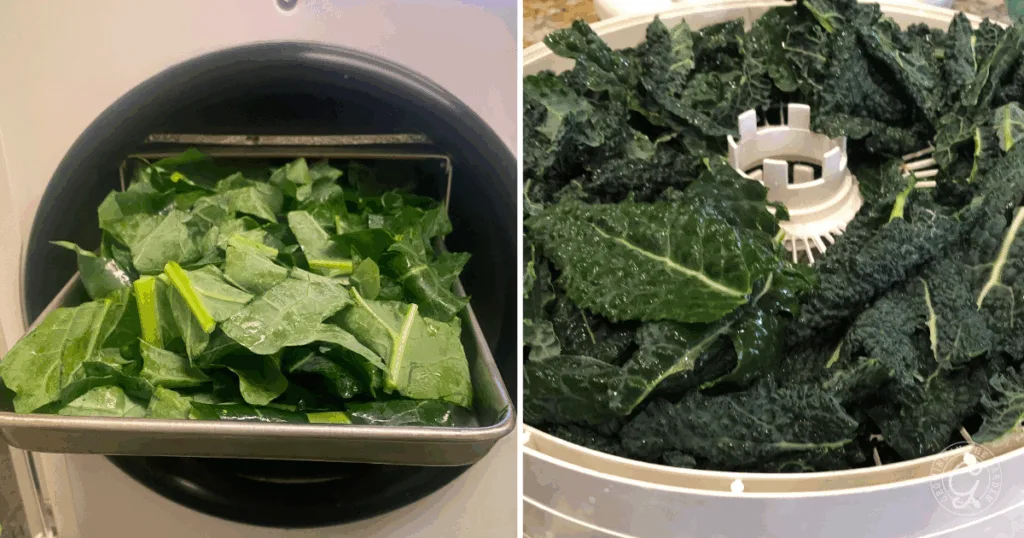 Chopped kale leaves being loaded into and spun dry in a salad spinner—similar to how to use broccoli and cauliflower leaves for fresh, crisp salads.