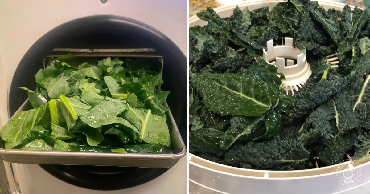Chopped kale leaves being loaded into and spun dry in a salad spinner&mdash;similar to how to use broccoli and cauliflower leaves for fresh, crisp salads.
