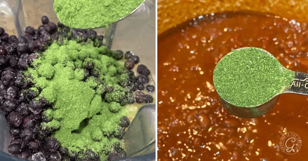 Left: Green powder made from broccoli and cauliflower leaves sprinkled on blueberries. Right: Learn how to use broccoli and cauliflower leaves by adding their green powder to a pot of reddish sauce or stew for extra flavor.