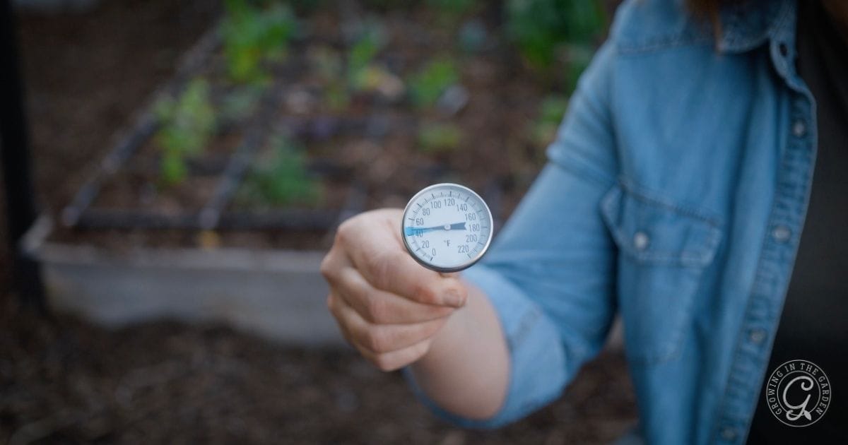 Use a soil thermometer to help you decide when to plant