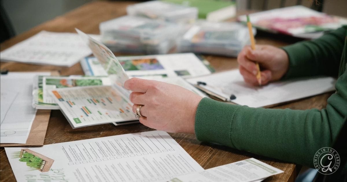 plan your spring garden in Arizona