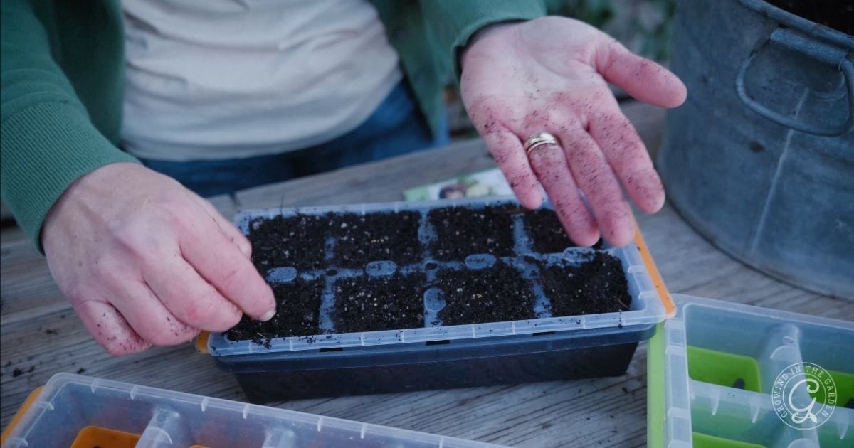 gather needed supplies to start seeds indoors for spring