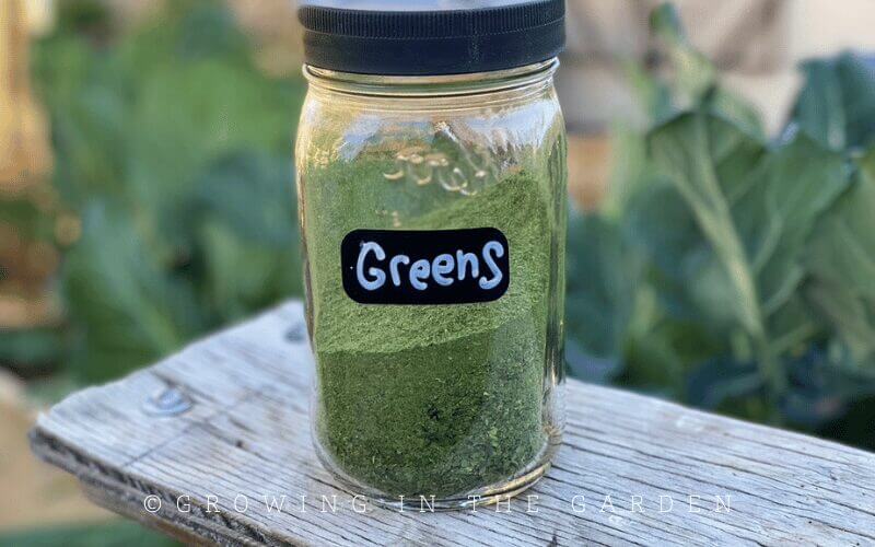 Adding the greens powder to smoothies, soup, chili, or whatever you want is simple. Add as much or as little as you would like. 