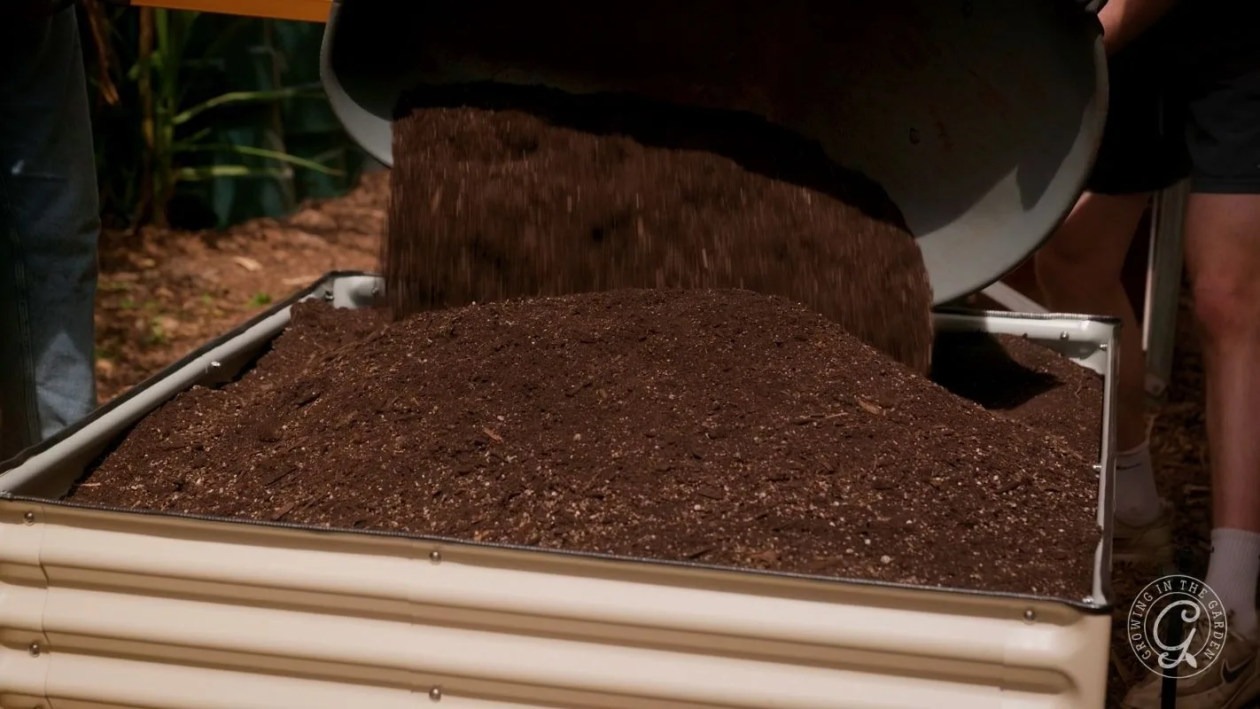 Dark soil being dumped into a raised garden bed outdoors, filling it nearly to the top.