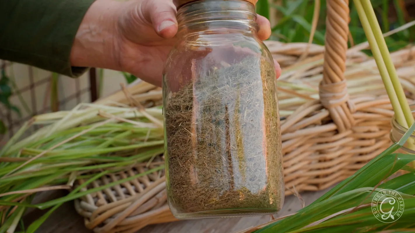 A hand holds a glass jar filled with dried plant material next to a wicker basket and green leaves.