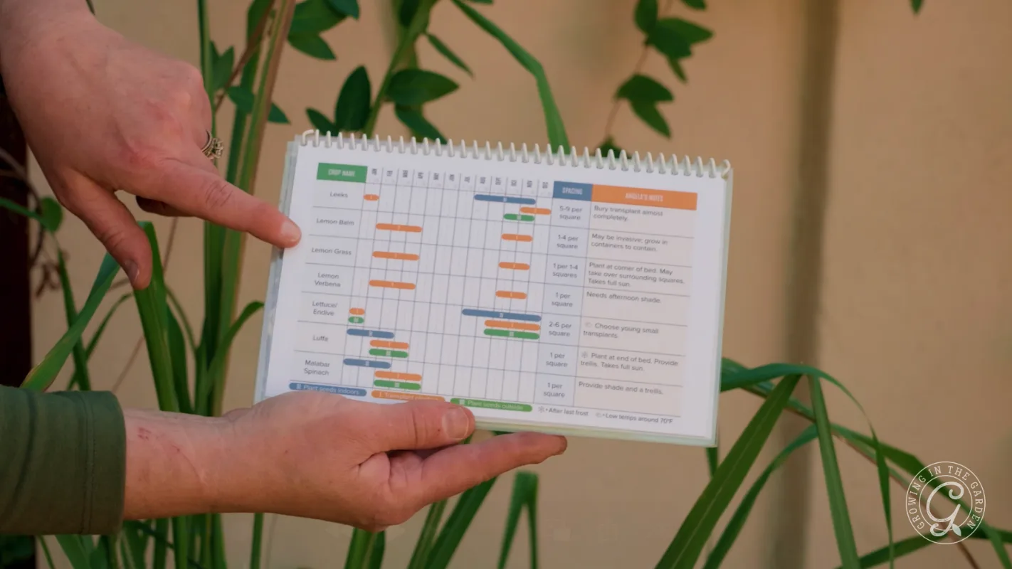 A person points at a small spiral chart with colored bars, held in front of green leafy plants.