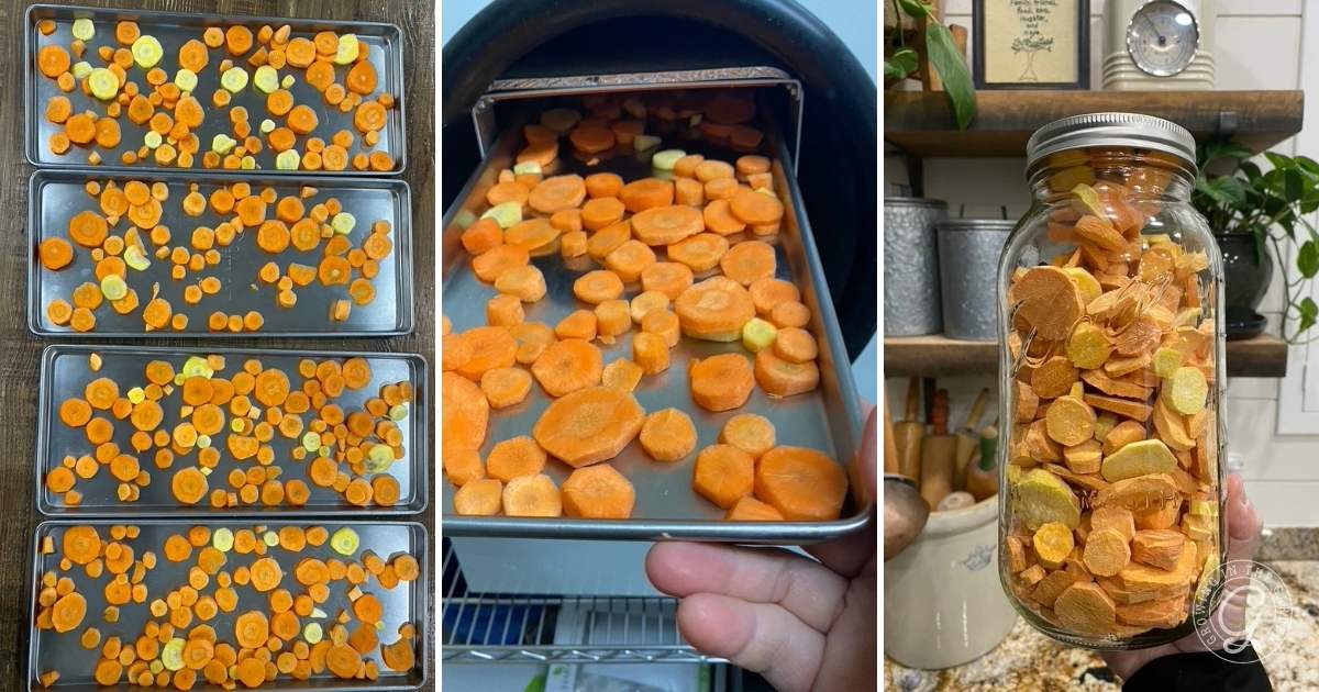 Freeze Drying Carrots