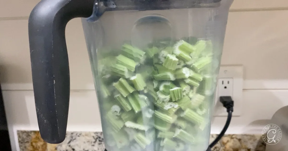 Blender filled with chopped celery pieces on a kitchen countertop near an electrical outlet, perfect for learning how to make & use celery salt in your favorite recipes.