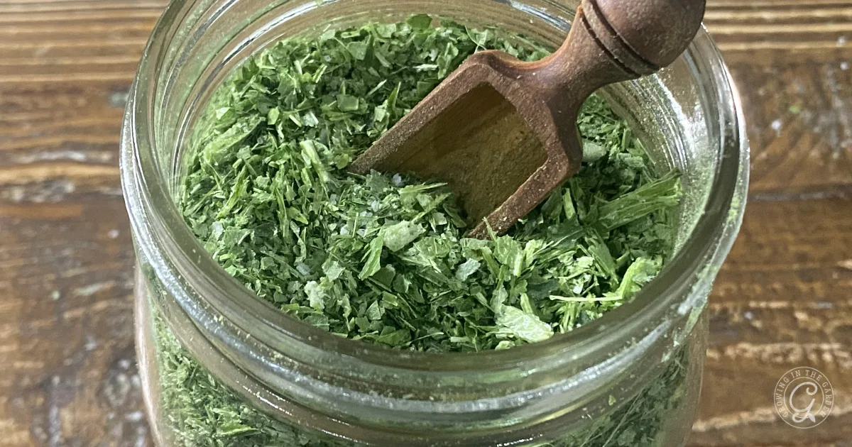 A glass jar filled with dried green herbs and a small wooden scoop on top, on a wooden surface—perfect for learning how to make & use celery salt in your favorite dishes.