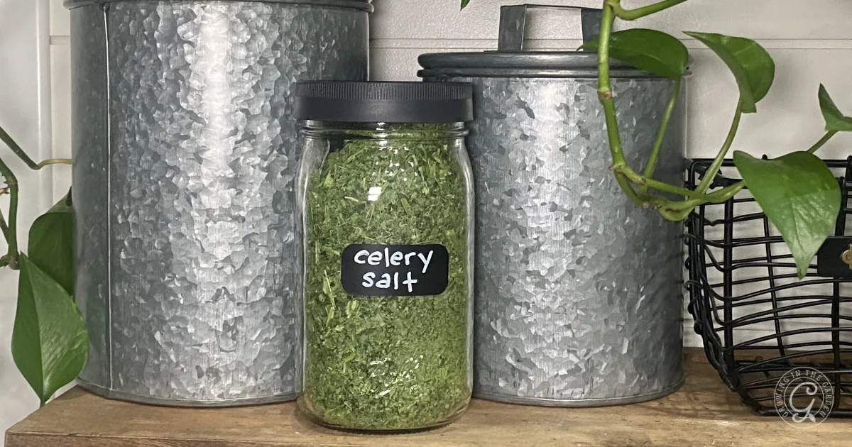 A jar labeled celery salt sits between two metal canisters on a wooden shelf with a trailing green plant, inviting curiosity about how to make & use celery salt in your kitchen creations.