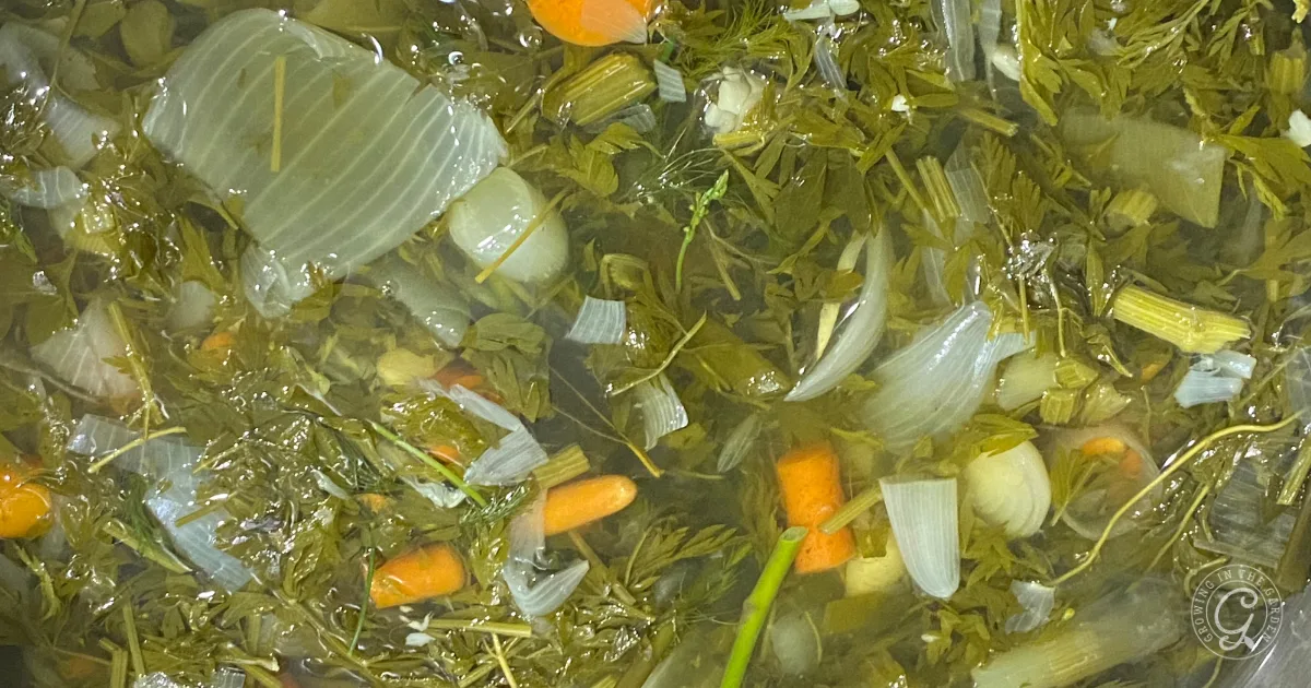 Chopped onions, carrots, and herbs floating in water, perfect for crafting a flavorful garden vegetable broth or stock.