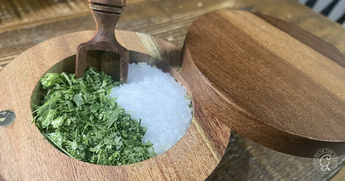 A wooden spice box with coarse salt and dried herbs—perfect for learning how to make & use celery salt—includes a small wooden scoop inside.
