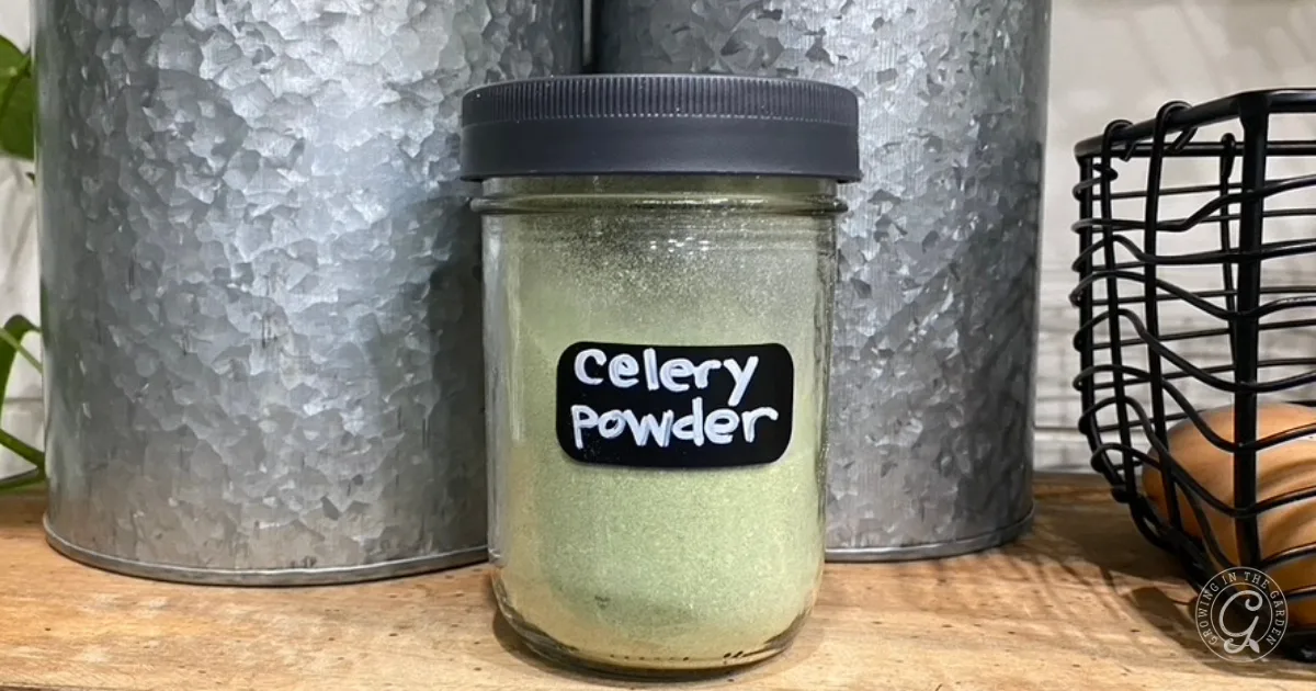 A glass jar labeled Celery Powder, made from freeze dried celery, sits on a wooden surface with metal containers in the background.