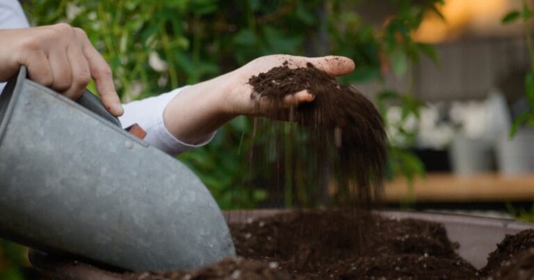 A person sifting soil into a planter with green plants in the blurred background.